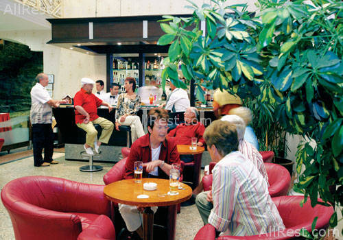 Terrace Hotel 10